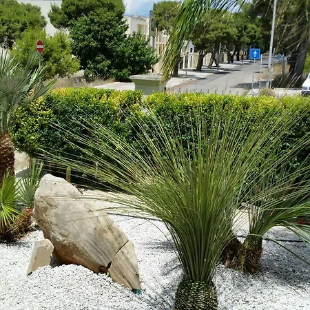 Belvedere Di Rita 3*