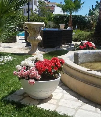 Belvedere Di Rita Gallipoli